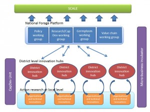 Forage into use