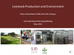 Livestock Production and Environment