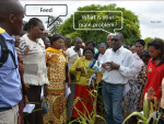 Development of participatory tools to guide feed entry points