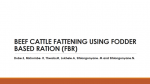Beef cattle fattening using fodder based ration (FBR)