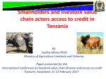 Smallholders and livestock value chain actors access to credit in Tanzania