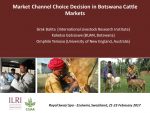 Market Channel Choice Decision in Botswana Cattle Markets