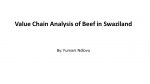 Value Chain Analysis of Beef in Swaziland